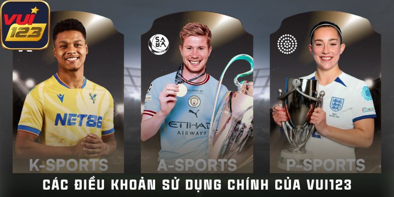 Các điều khoản sử dụng chính của nhà cái Vui123