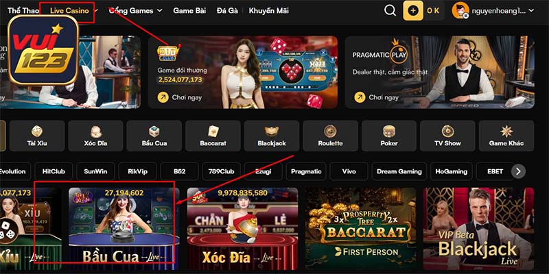 Cách chiến thắng dễ dàng đối với game bầu cua Vui123