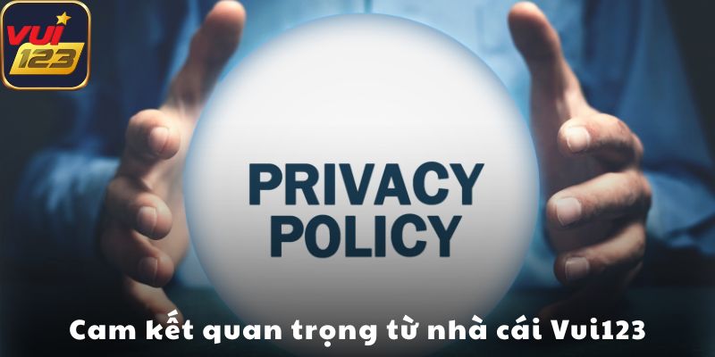 Cam kết quan trọng từ nhà cái Vui123
