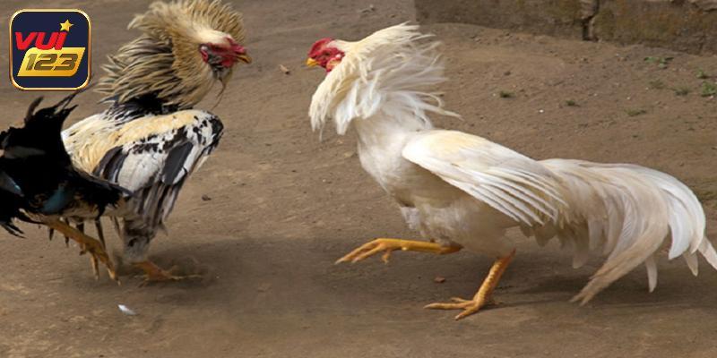 Duy trì lịch trình tập luyện đều đặn, khoa học mỗi tuần