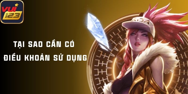 Tại sao cần có điều khoản sử dụng Vui123